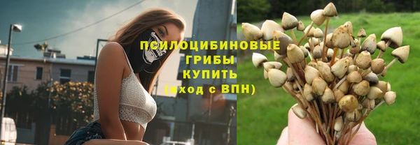 соль ск Беломорск