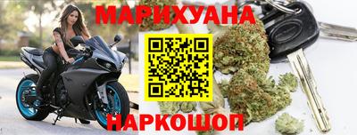 крисы Славгород