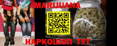 крисы Славгород