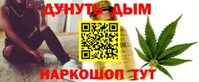 крисы Славгород