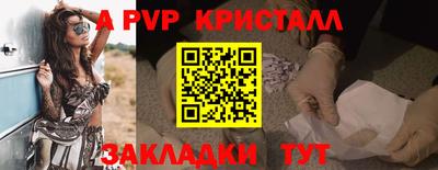 крисы Славгород