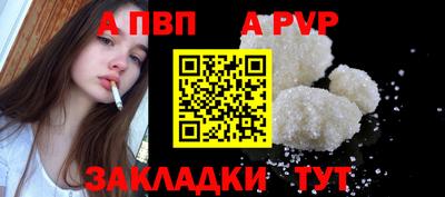 крисы Славгород