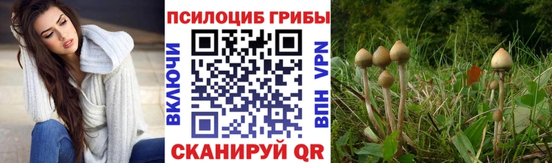 Псилоцибиновые грибы MAGIC MUSHROOMS  блэк спрут ТОР  Пятигорск 