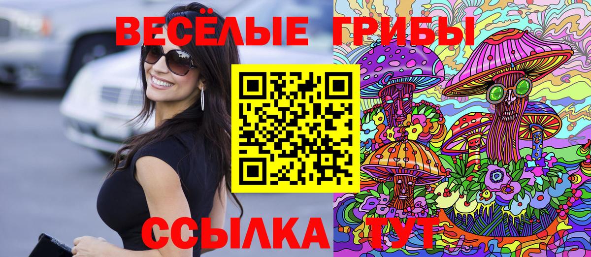 Пятигорск  Псилоцибиновые грибы GOLDEN TEACHER  Вход с VPN 