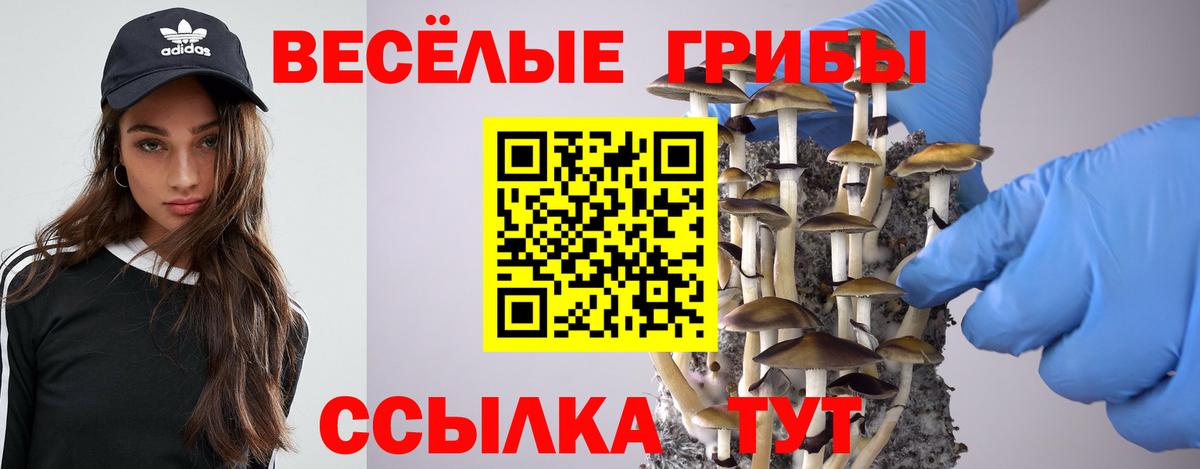 Галлюциногенные грибы прущие грибы Пятигорск
